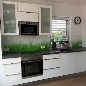 Nobilia Küche mit Grasglasnische